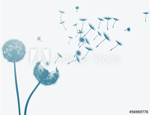 500x382 Dandelion In The Wind. Vector Background.