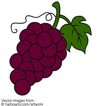 335x355 Download Wine Grapes