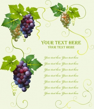 317x368 Grape Free Vector Download (432 Free Vector) For Commercial Use