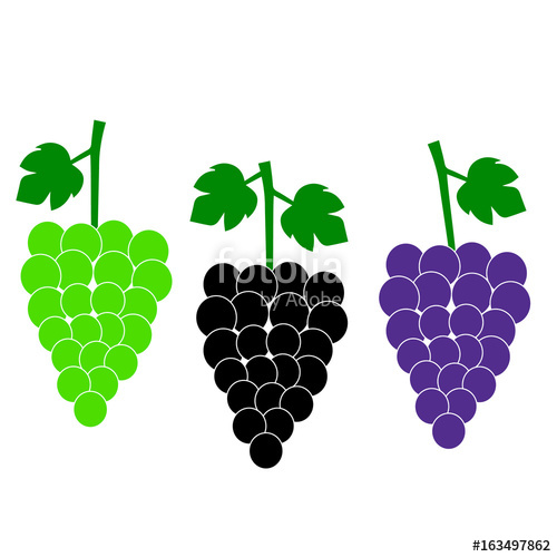 500x500 Grapes Vector Isolated. Grapes Icon. Grapes Logo. Grapes Wine Or