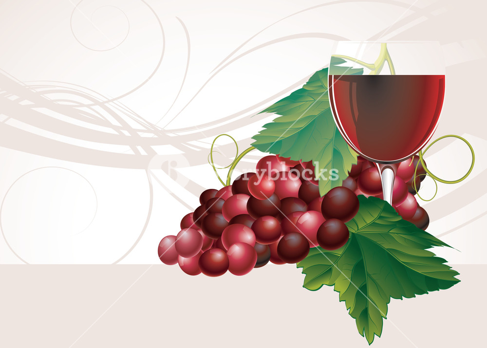 1000x715 Wine And Grapes. Vector. Royalty Free Stock Image