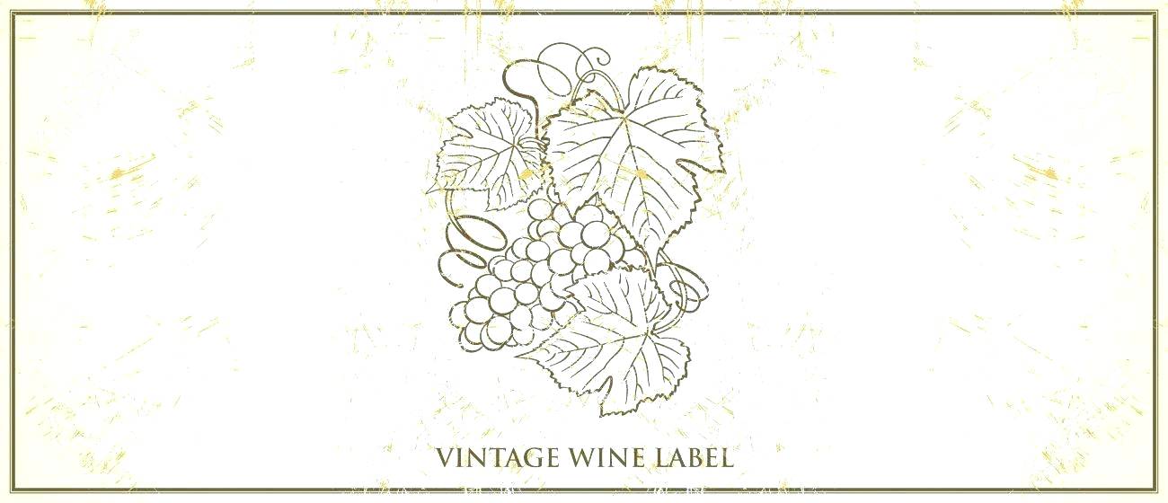 1300x560 Free Bottle For Stunning Presentations Graphics Adobe Photoshop