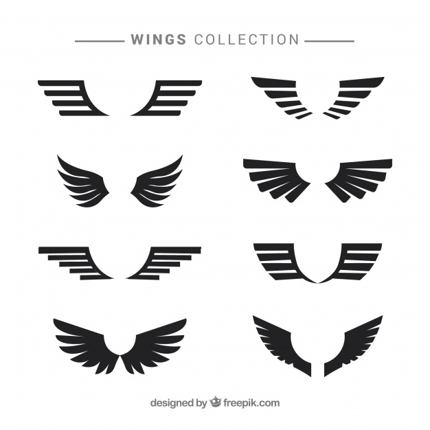 626x626 Wings Vectors, Photos And Psd Files Free Download