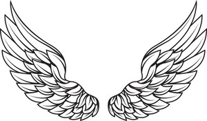 300x175 Vector Wings Royalty Free Stock Image