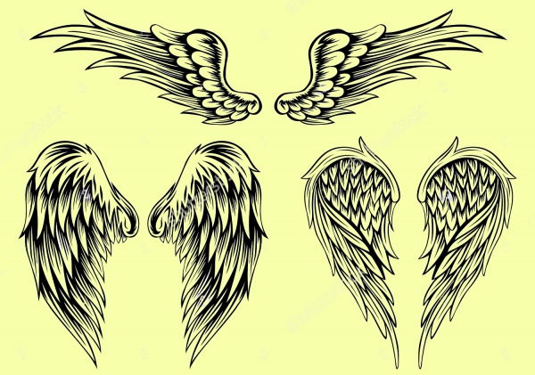 600x421 Vector Wings