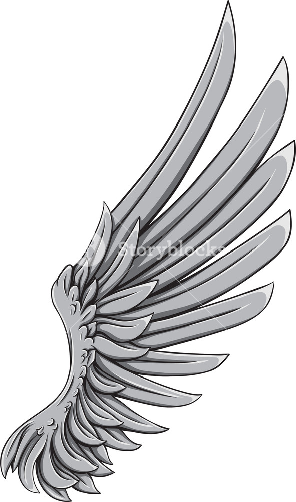 591x1000 Wings Vector Element Royalty Free Stock Image