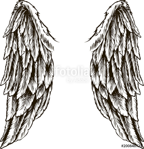 482x500 Wings. Vector Illustration On White Background. Black And White