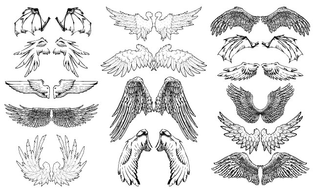 645x395 Hand Drawn Wings Vector Pack For Adobe Illustrator