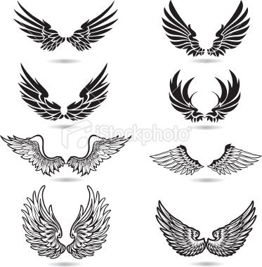 373x380 Wings Illustration Designs And Patterns Vector Art