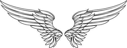 500x189 Vector Wings