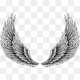 260x260 Wings Png, Vectors, Psd, And Clipart For Free Download Pngtree