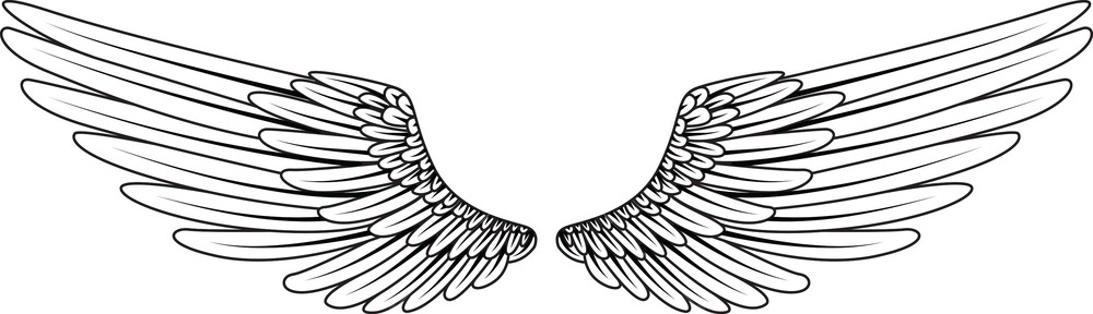 1000x288 Wings Vector Element Royalty Free Stock Image