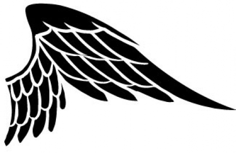 464x300 Wings Design In Vector Format