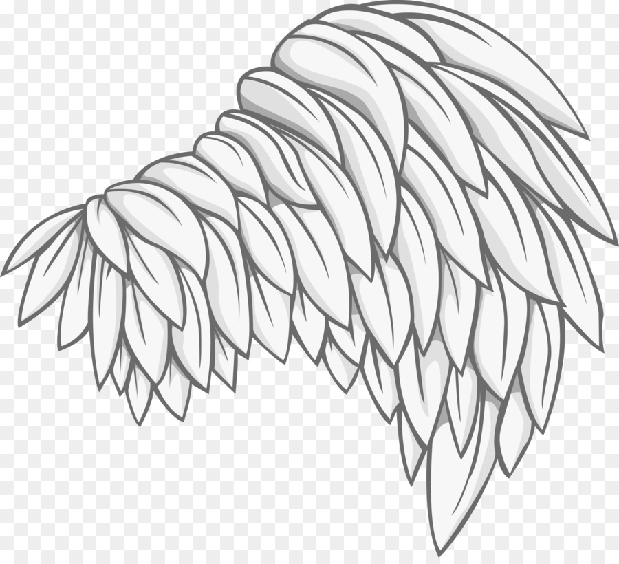 900x820 Bird Photography Drawing Illustration