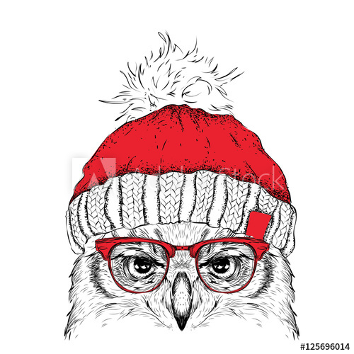 500x500 The Christmas Poster With The Image Owl Portrait In Winter Hat