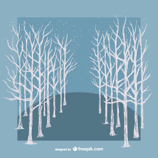 626x626 White Winter Trees Vector Vector Free Download