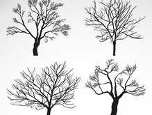 219x165 Winter Tree Vector [Ai]