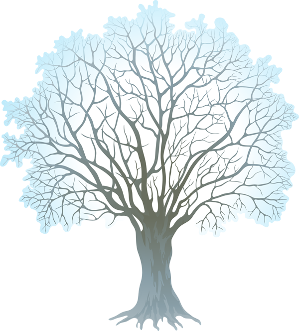600x664 Winter Tree Vector Stock Transparent