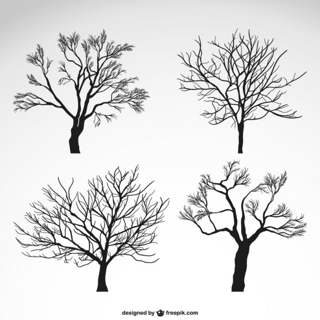626x626 Winter Trees Silhouettes Vector Free Download