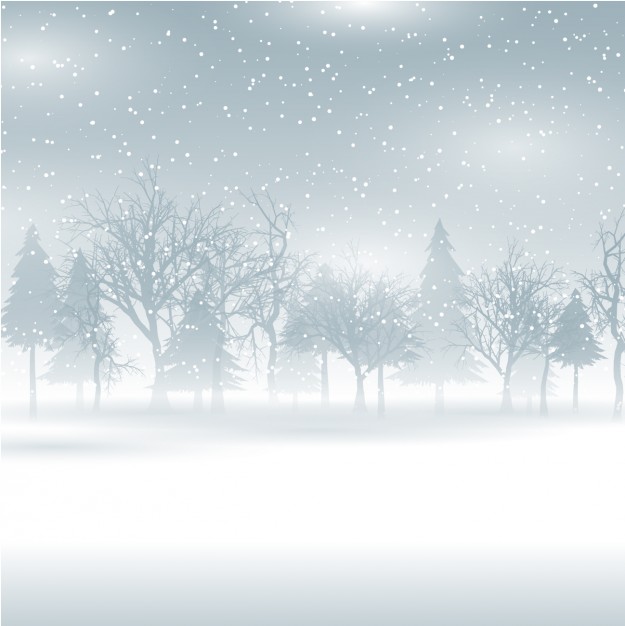 625x626 Winter Tree Vectors, Photos And Psd Files Free Download
