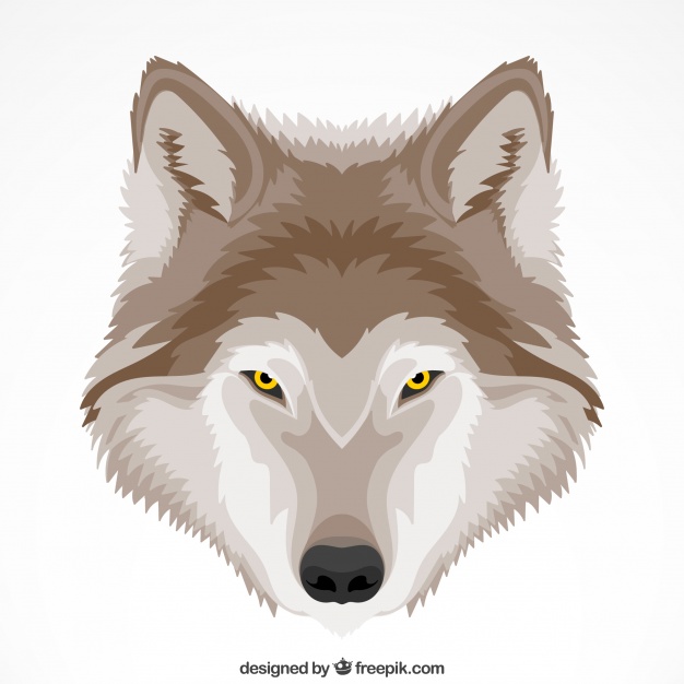 626x626 Cute Wolf Background With Yellow Eyes Vector Free Download