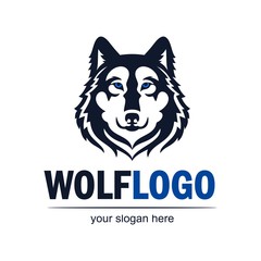 240x240 Search Photos Wolf Eyes