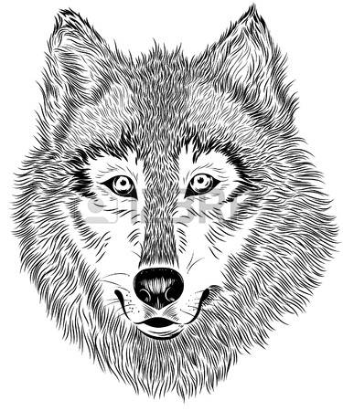 375x450 Collection Of Wolf Eyes Clipart High Quality, Free Cliparts
