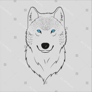 300x300 White Wolf Blue Eyes Vector Orangiausa