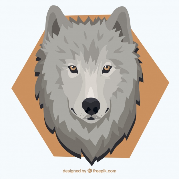 626x626 Wolf Background With Yellow Eyes And Hexagon Vector Free Download