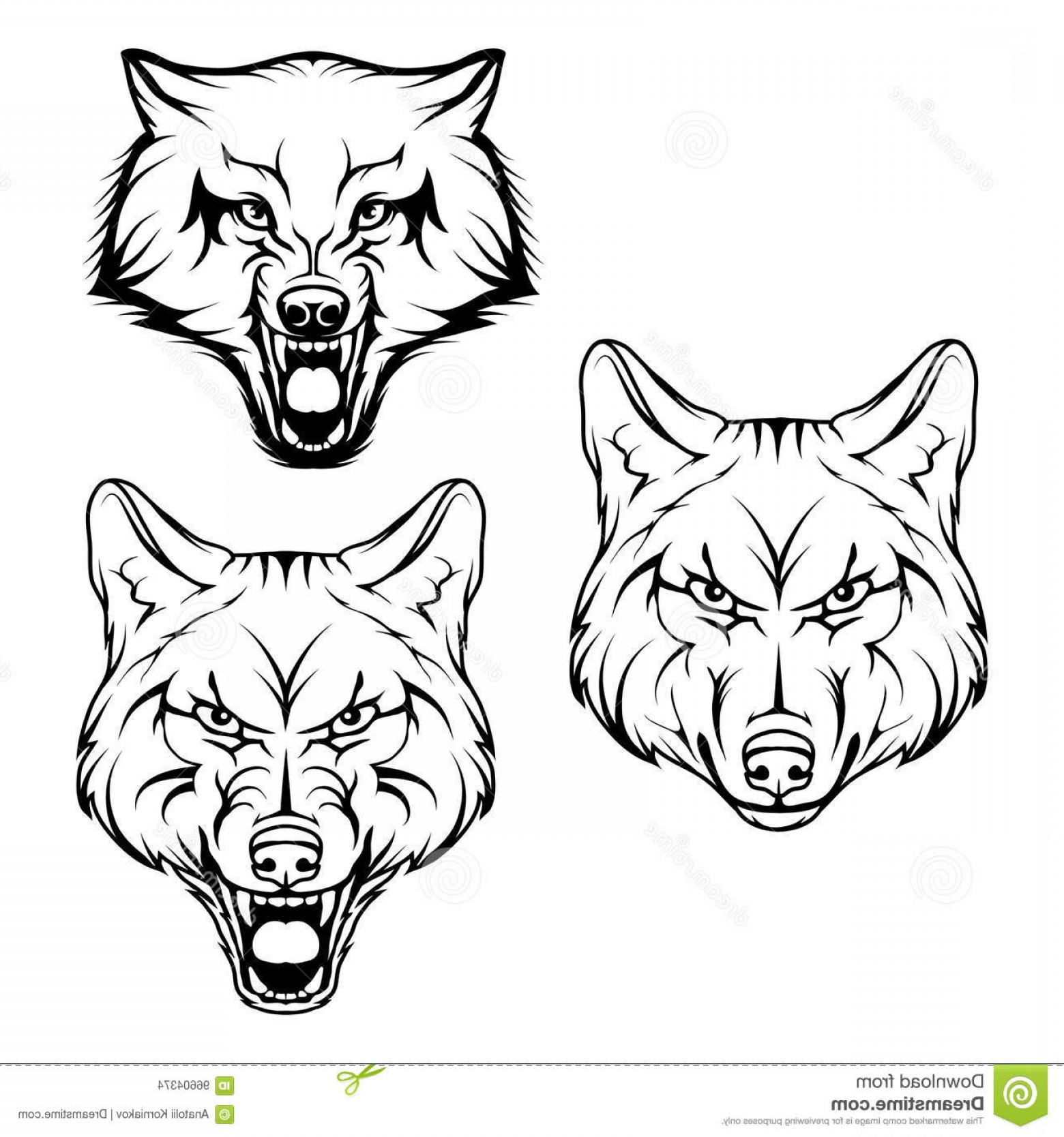 1560x1668 Stock Illustration Wolf Set Vector Sketch Business Sign Logotype