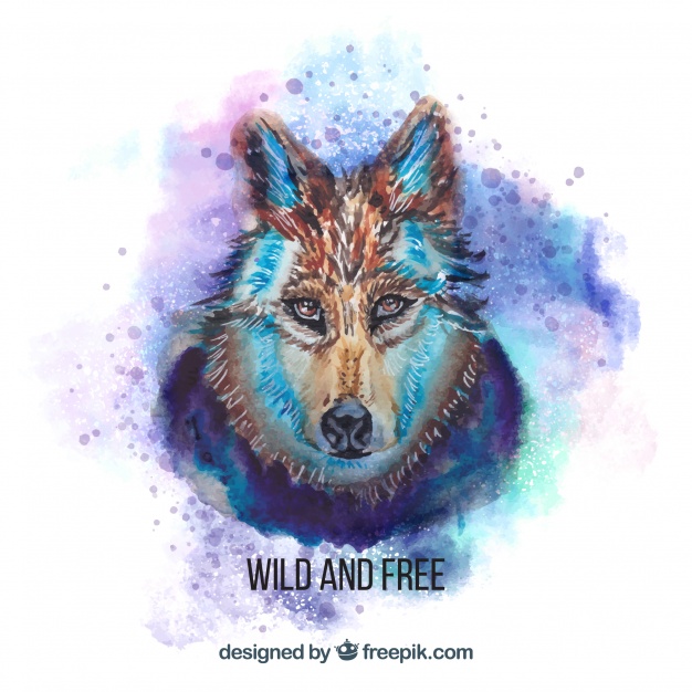 626x626 Watercolor Dangerous Wolf Face Vector Free Download