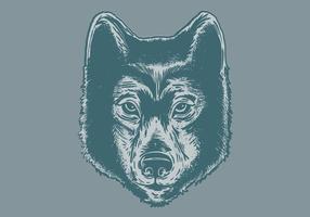 286x200 Wolf Face Free Vector Art