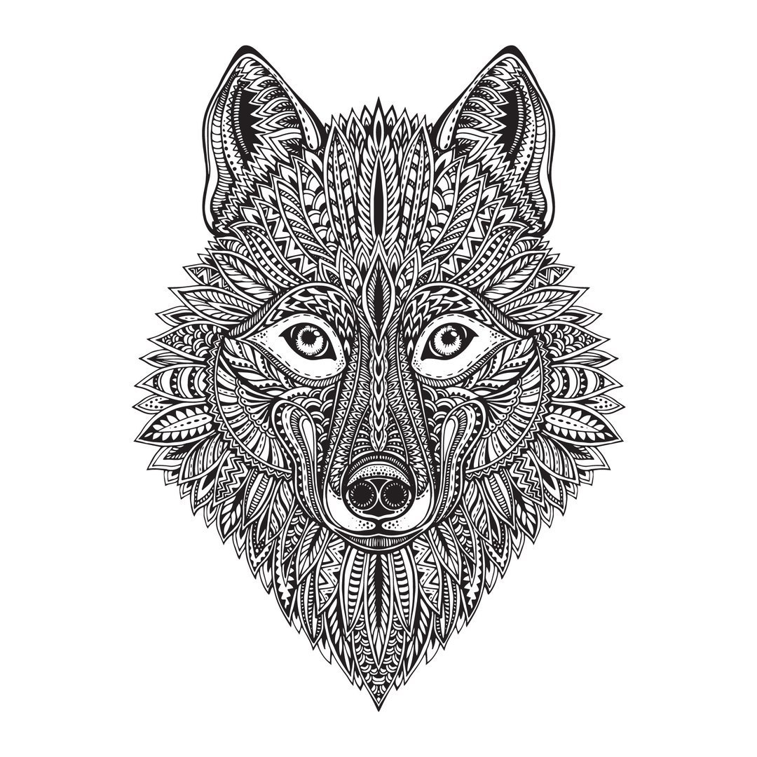 1080x1080 Wolf Face Vector Art Free Vector Download