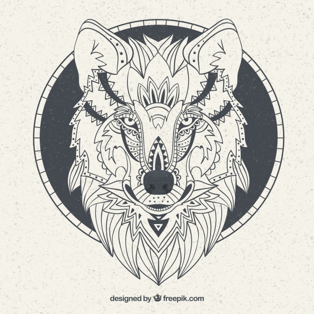626x626 Wolf Vectors, Photos And Psd Files Free Download