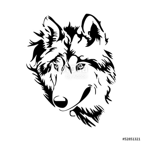 500x500 Wolf Head Sketch Vector Stock Image And Royalty Free Vector Files