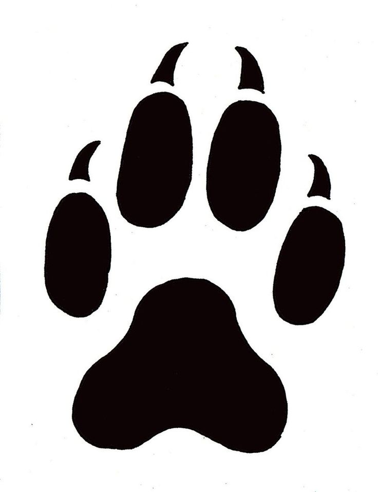 736x957 Paw Print Clipart