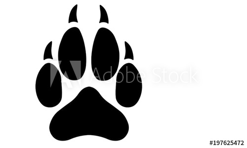 500x300 Wolf Paw