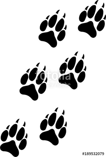 339x500 Wolf Paw Track Stock Image And Royalty Free Vector Files On