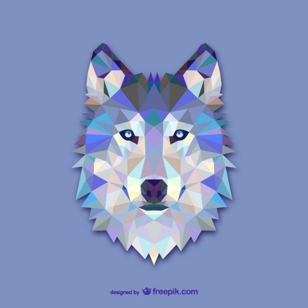 626x626 Wolf Vectors, Photos And Psd Files Free Download