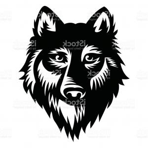 300x300 Wolf Vector Illustration Vector Gm Orangiausa