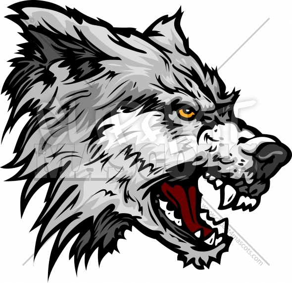 590x571 Wolf Clipart Vector