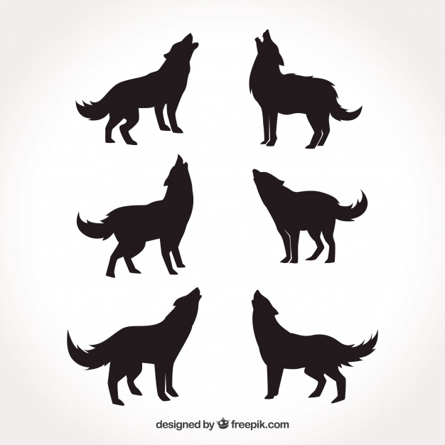 626x626 Various Silhouettes Of Wolves Vector Free Download