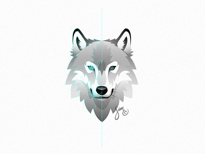 800x600 Wolf Vector By Simc