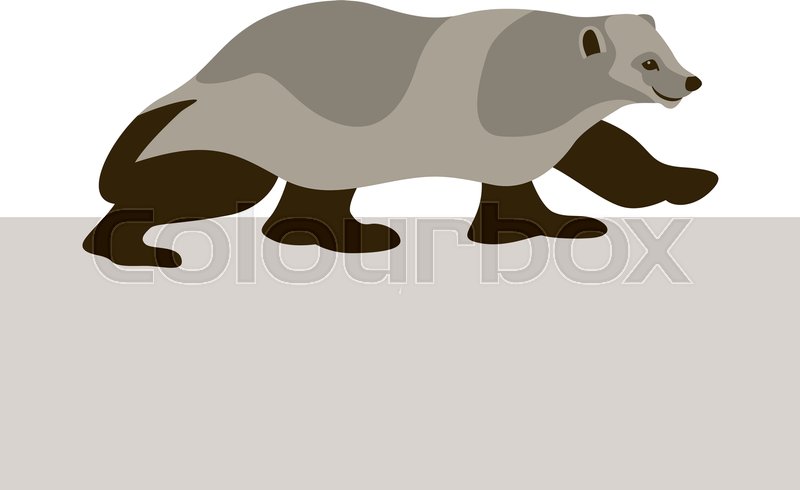 800x490 Wolverine Vector Illustration Style Flat Stock Vector Colourbox