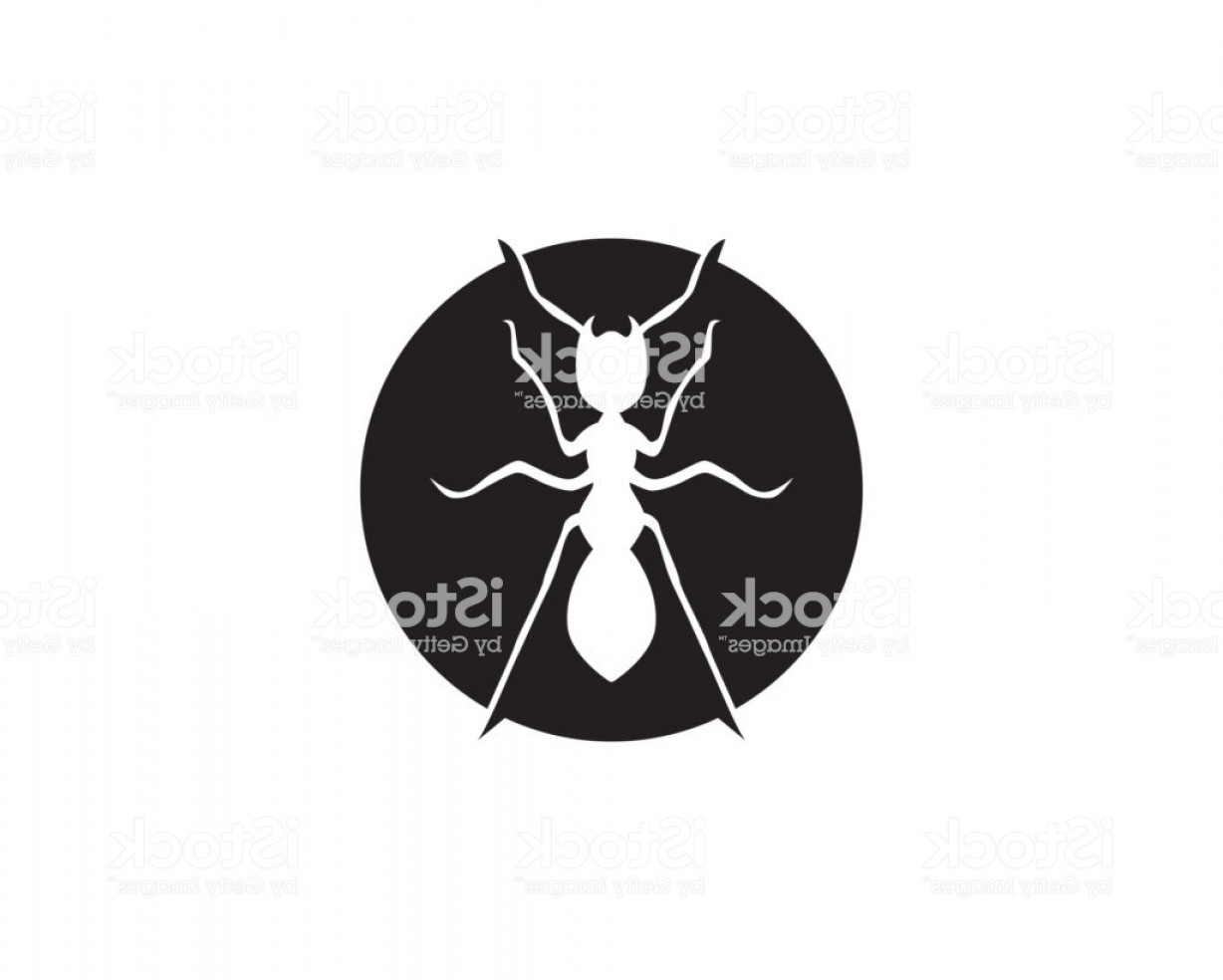 1228x984 Ant Logo Template Vector Illustration Design Gm Lazttweet