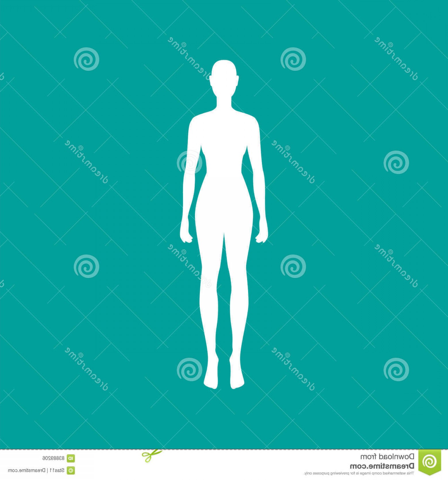 1560x1668 Stock Illustration Woman Body Outline White Vector Illustration