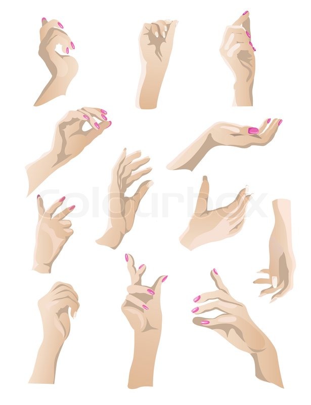 615x800 Set Of 12 Beautiful Woman Hands Gestures. Stock Vector Colourbox