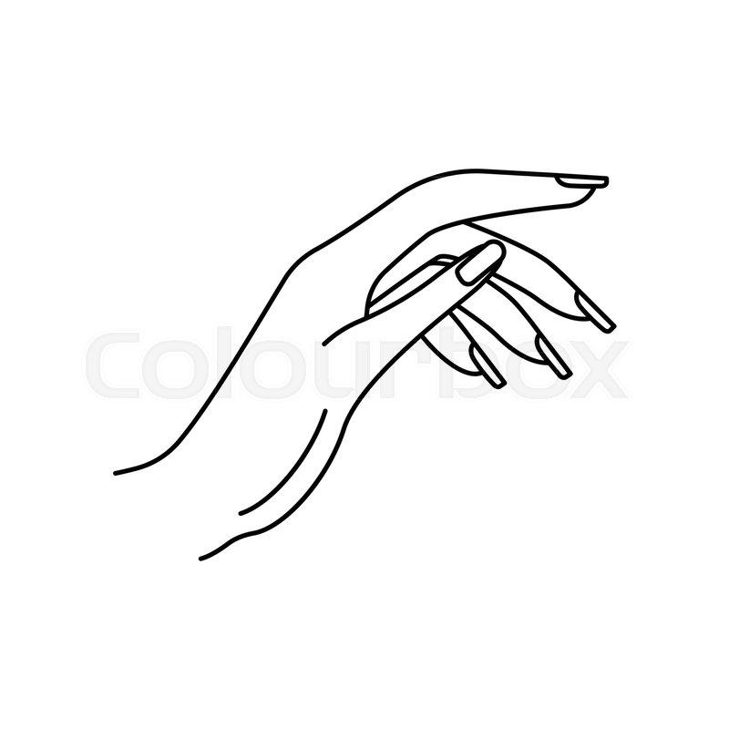 800x800 Woman Hand Icon. Outline Woman Hand Vector Icon For Web Design