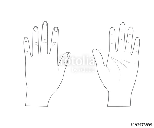 Woman Hand Vector at GetDrawings | Free download