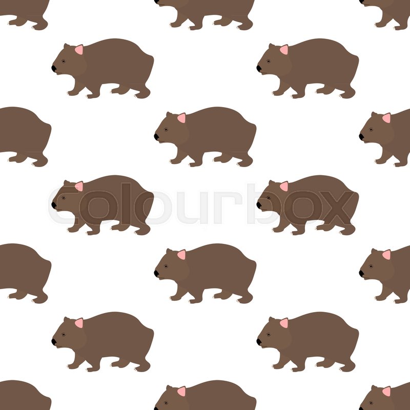 800x800 Wombat Seamless Pattern On The White Background, Vector
